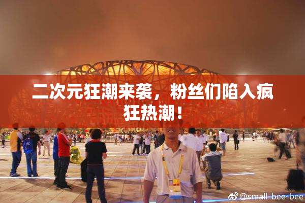 二次元狂潮来袭，粉丝们陷入疯狂热潮！