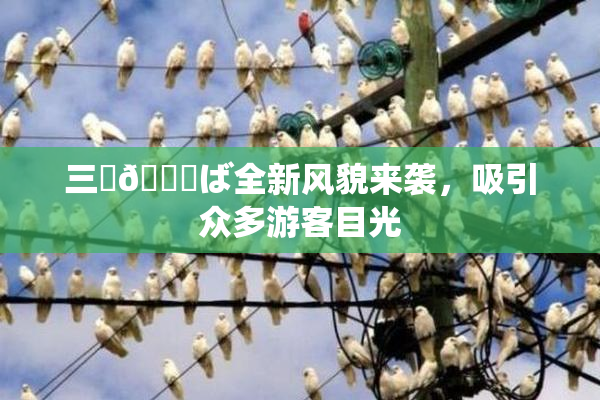 三宮😚ば全新风貌来袭，吸引众多游客目光