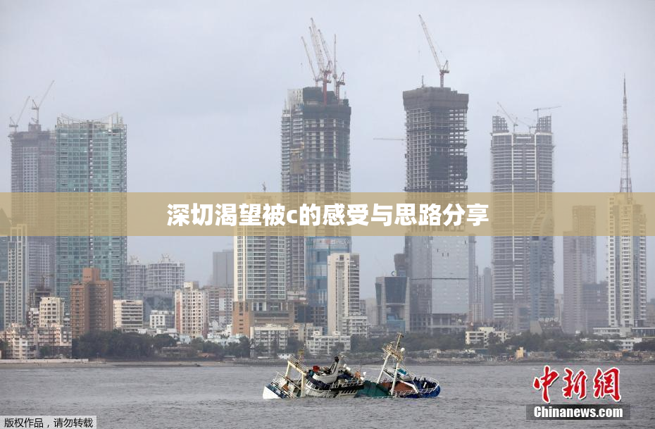深切渴望被c的感受与思路分享