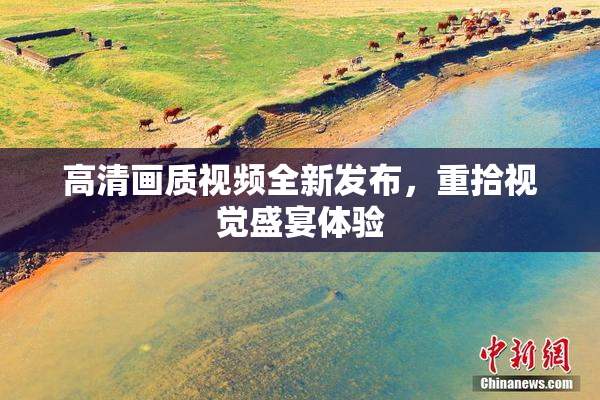 高清画质视频全新发布，重拾视觉盛宴体验