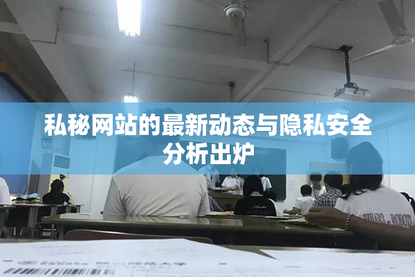 私秘网站的最新动态与隐私安全分析出炉