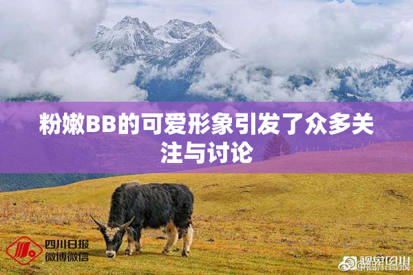 粉嫩BB的可爱形象引发了众多关注与讨论