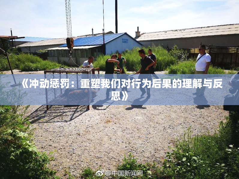 《冲动惩罚：重塑我们对行为后果的理解与反思》
