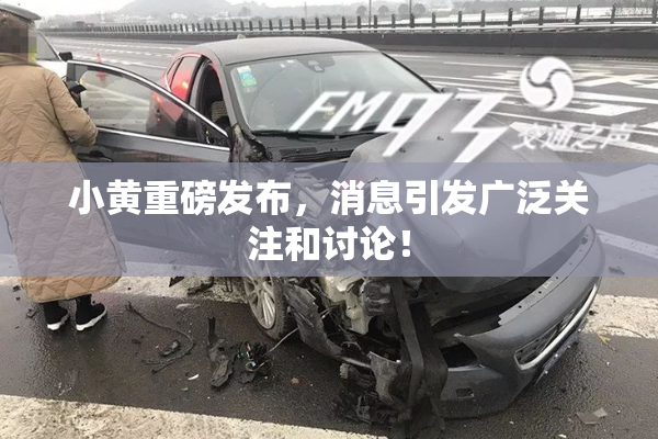 小黄重磅发布，消息引发广泛关注和讨论！