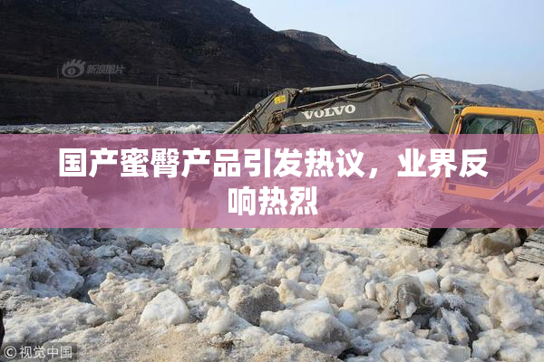 国产蜜臀产品引发热议，业界反响热烈