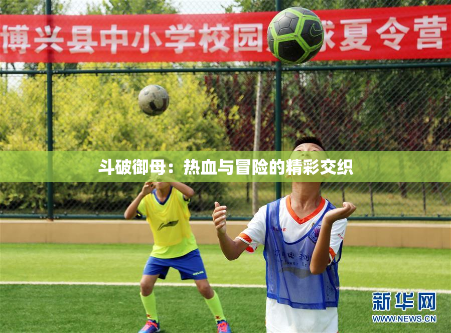 斗破御母：热血与冒险的精彩交织