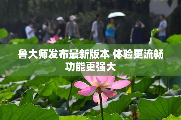 鲁大师发布最新版本 体验更流畅功能更强大
