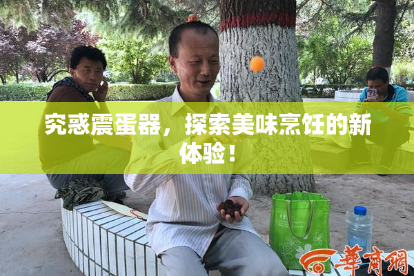 究惑震蛋器，探索美味烹饪的新体验！