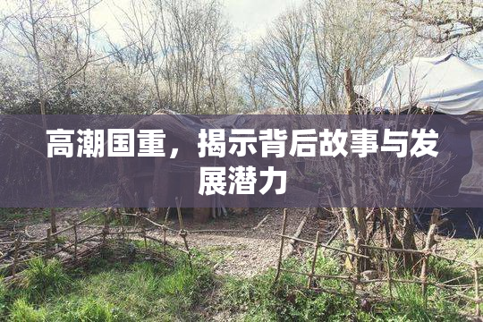 高潮国重，揭示背后故事与发展潜力