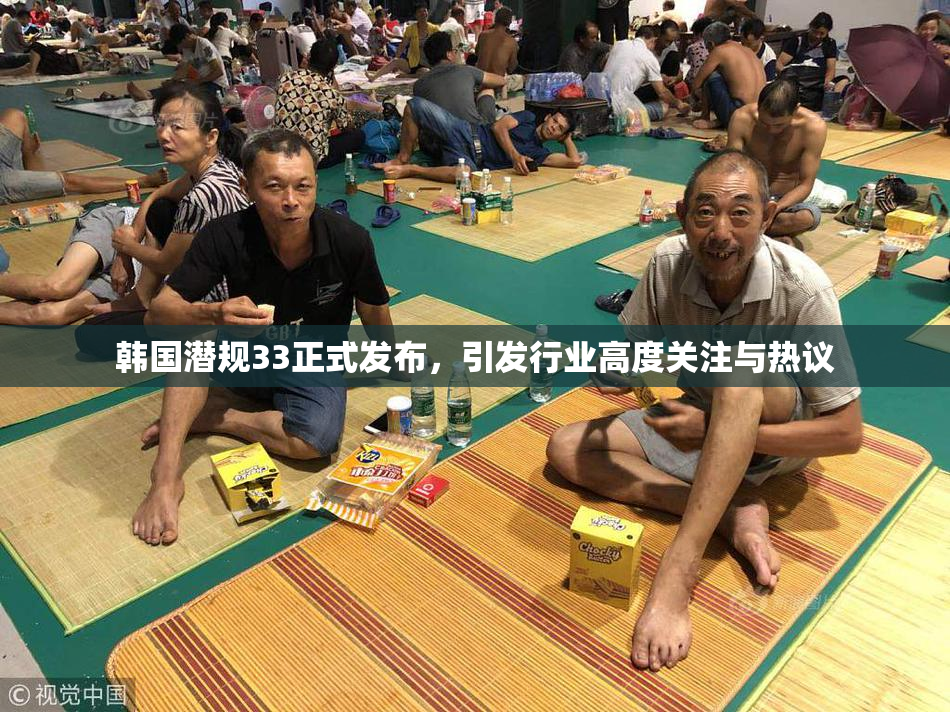 韩国潜规33正式发布，引发行业高度关注与热议