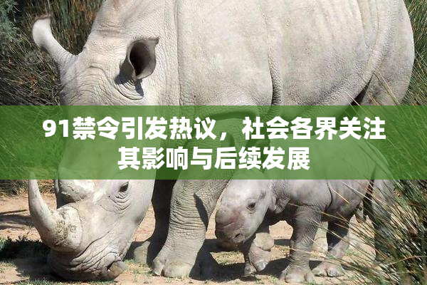 91禁令引发热议，社会各界关注其影响与后续发展