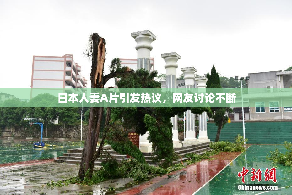 日本人妻A片引发热议，网友讨论不断