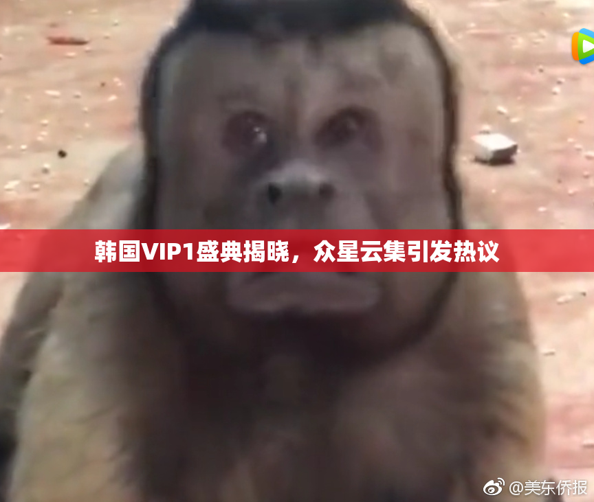 韩国VIP1盛典揭晓，众星云集引发热议