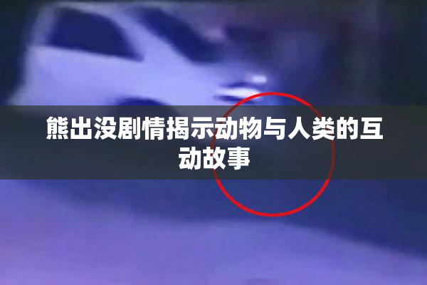 熊出没剧情揭示动物与人类的互动故事
