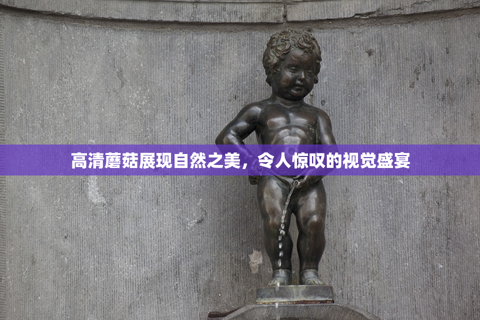 高清蘑菇展现自然之美，令人惊叹的视觉盛宴