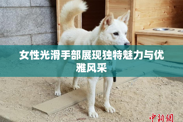 女性光滑手部展现独特魅力与优雅风采