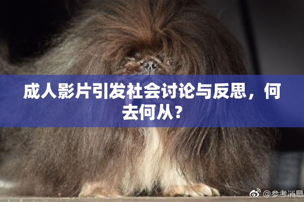 成人影片引发社会讨论与反思，何去何从？