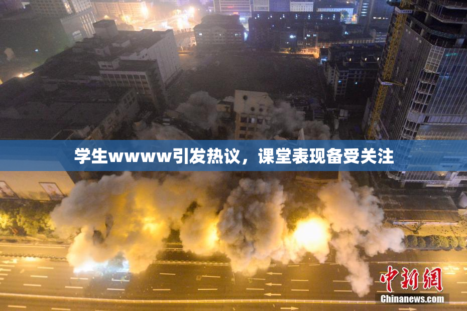 学生wwww引发热议，课堂表现备受关注