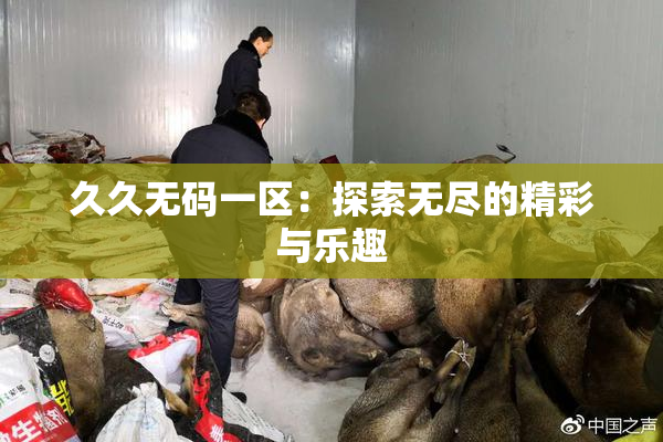 久久无码一区：探索无尽的精彩与乐趣