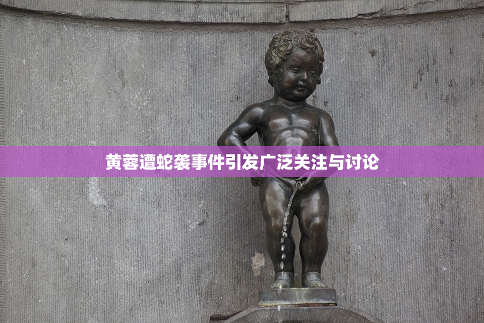 黄蓉遭蛇袭事件引发广泛关注与讨论