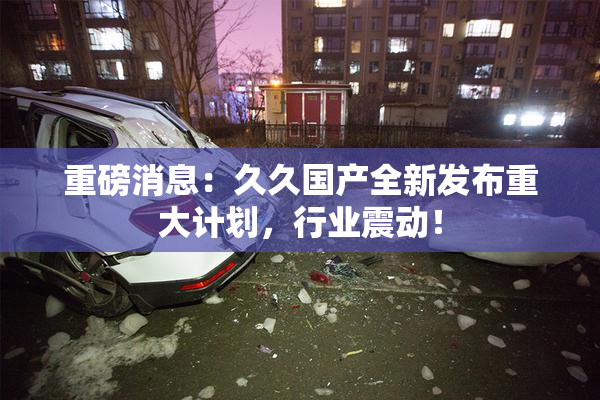 重磅消息：久久国产全新发布重大计划，行业震动！