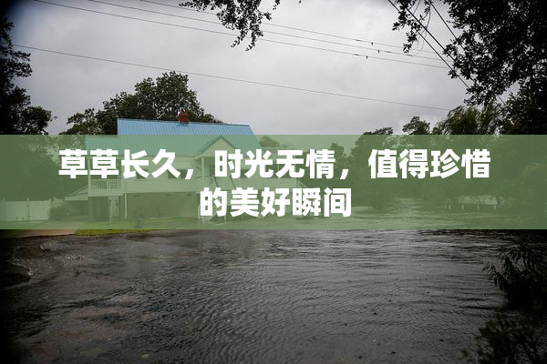 草草长久，时光无情，值得珍惜的美好瞬间
