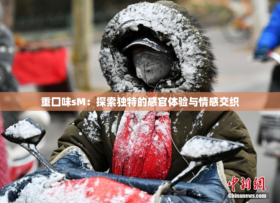 重囗味sM：探索独特的感官体验与情感交织