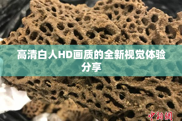 高清白人HD画质的全新视觉体验分享