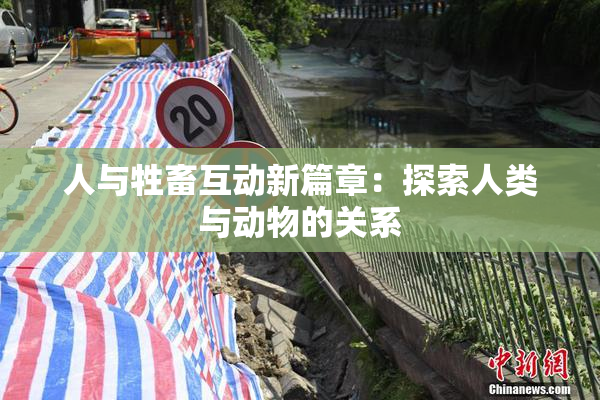 人与牲畜互动新篇章：探索人类与动物的关系