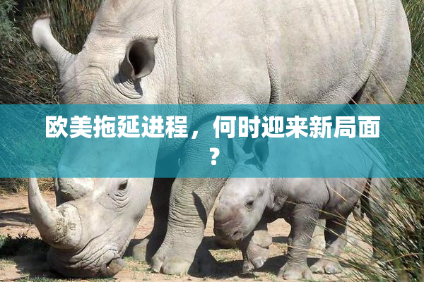 欧美拖延进程，何时迎来新局面？