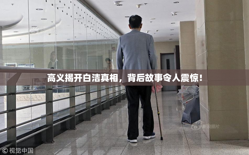 高义揭开白洁真相，背后故事令人震惊！