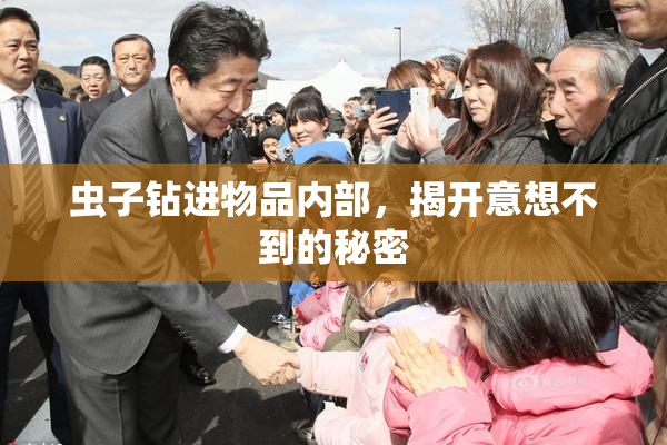 虫子钻进物品内部，揭开意想不到的秘密