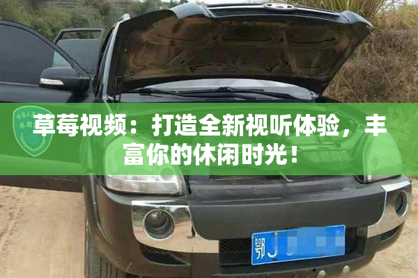 草莓视频：打造全新视听体验，丰富你的休闲时光！
