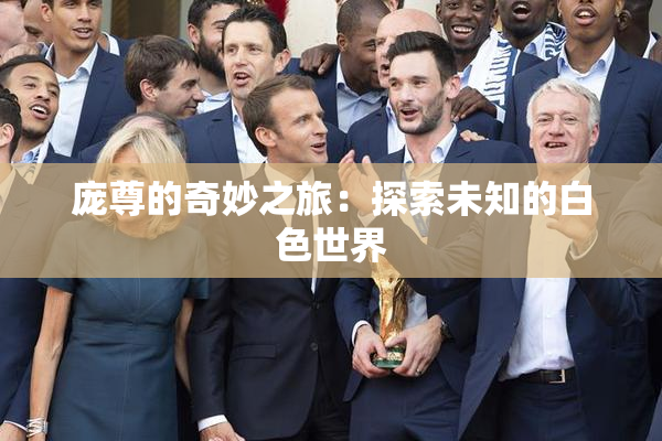 庞尊的奇妙之旅：探索未知的白色世界