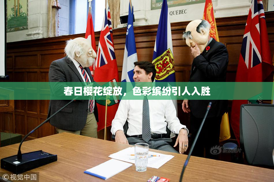 春日樱花绽放，色彩缤纷引人入胜