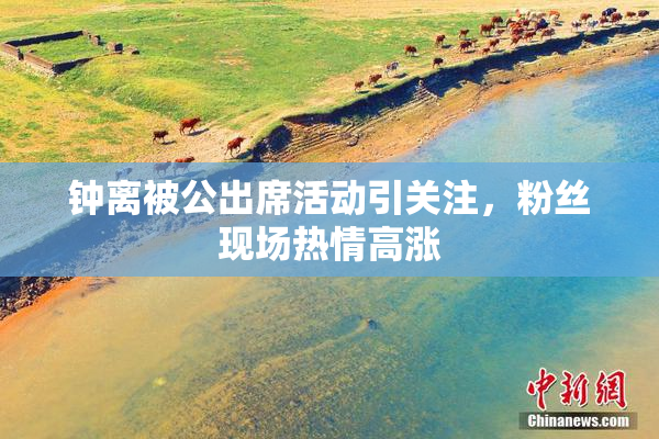 钟离被公出席活动引关注，粉丝现场热情高涨