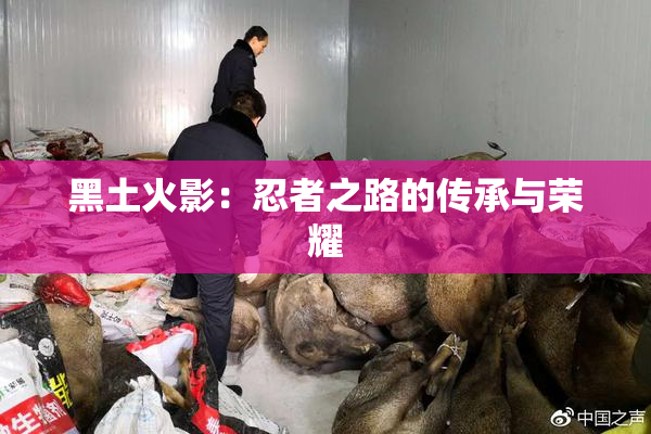 黑土火影：忍者之路的传承与荣耀