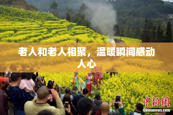 老人和老人相聚，温暖瞬间感动人心