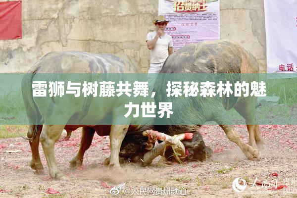 雷狮与树藤共舞，探秘森林的魅力世界