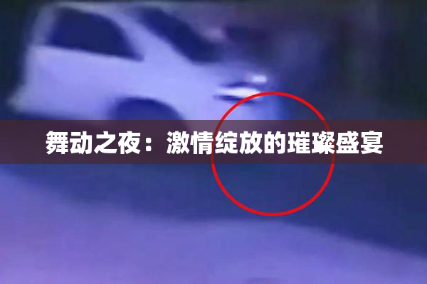 舞动之夜：激情绽放的璀璨盛宴