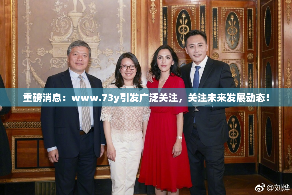 重磅消息：www.73y引发广泛关注，关注未来发展动态！