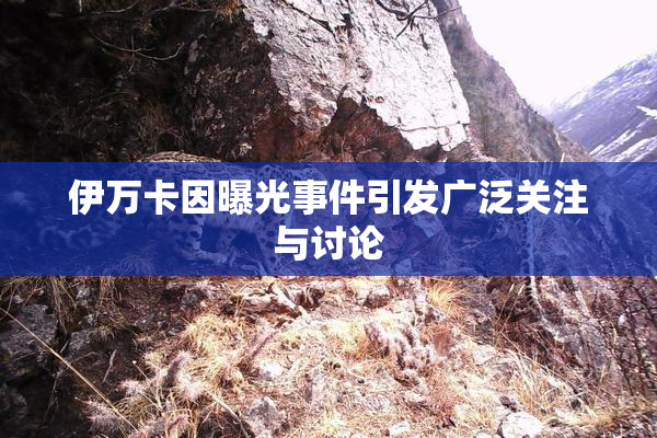 伊万卡因曝光事件引发广泛关注与讨论