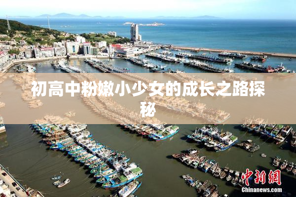 初高中粉嫩小少女的成长之路探秘