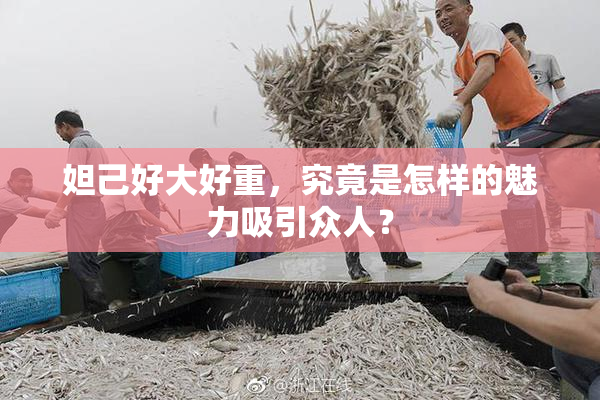 妲己好大好重，究竟是怎样的魅力吸引众人？