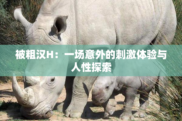 被粗汉H：一场意外的刺激体验与人性探索