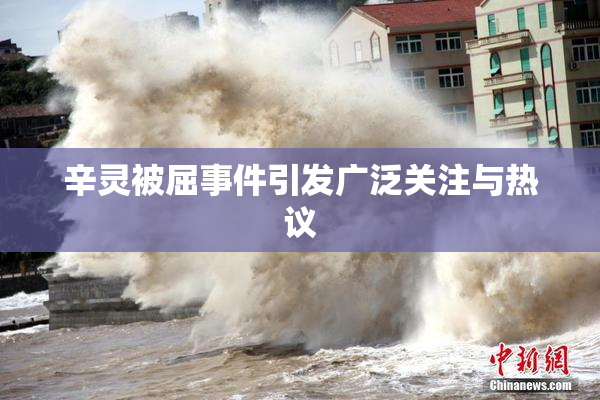 辛灵被屈事件引发广泛关注与热议