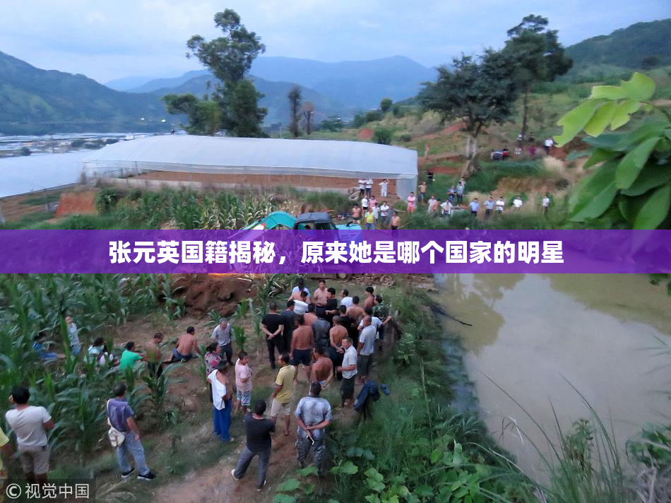 张元英国籍揭秘，原来她是哪个国家的明星