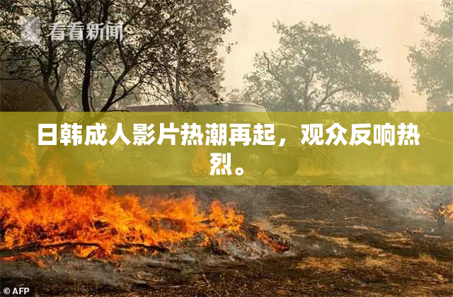 日韩成人影片热潮再起，观众反响热烈。