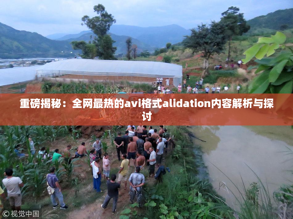 重磅揭秘：全网最热的avi格式alidation内容解析与探讨