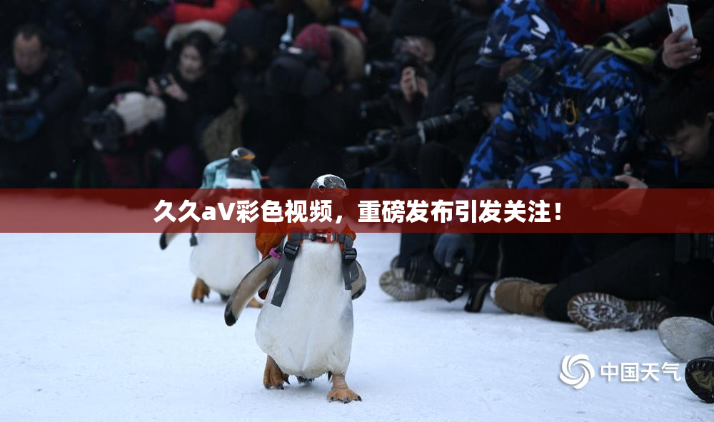 久久aV彩色视频，重磅发布引发关注！